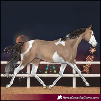 Horse Color:Sable Champagne Splash Tobiano 