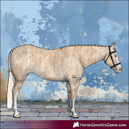 Horse Color:Cremello Dun Splash  and Gray Cremello Dun Splash 