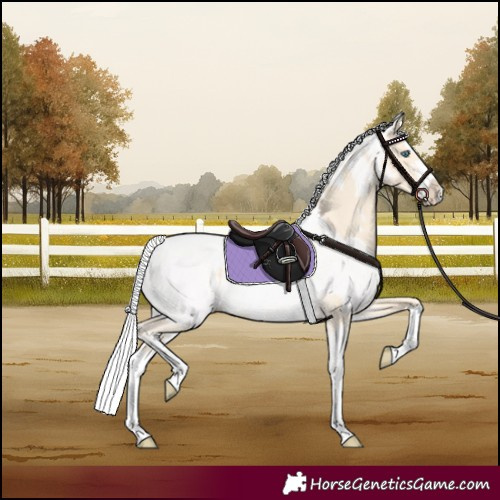 Horse Color:Cremello Splash and Cremello Splash