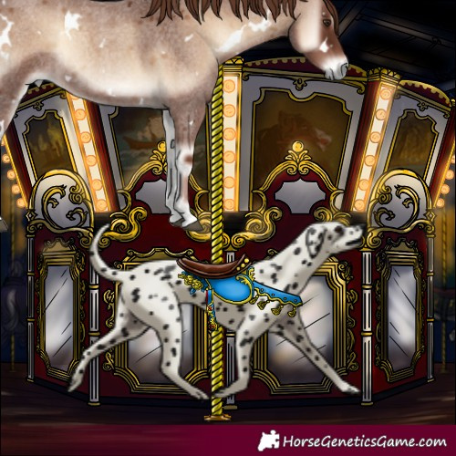Horse Color:White Spotted Red Onyx Roan 