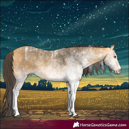 Horse Color:Powder White White Spotted Buckskin