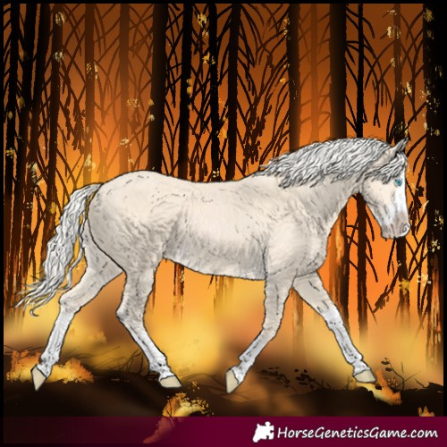 Horse Color:Cremello Splash  and Cremello Splash 