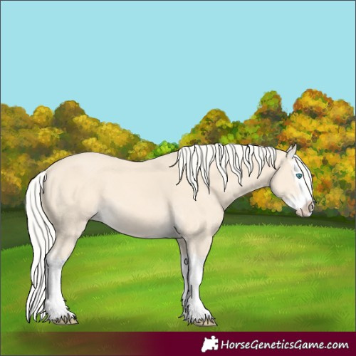 Horse Color:Cremello Splash  and Cremello Splash 