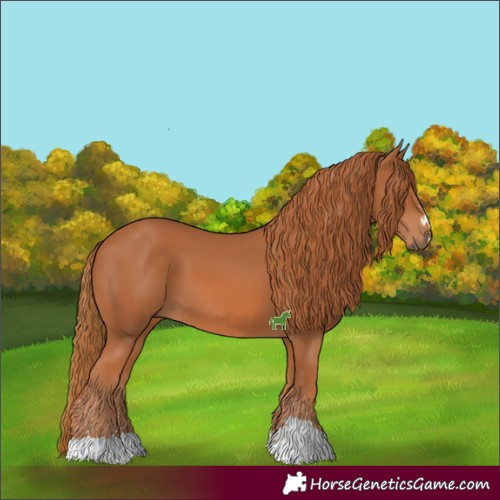 Horse Color:Chestnut 