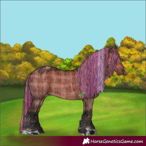 Horse Color:Painted Plaid  Liver Red Dun Tobiano Brindle 