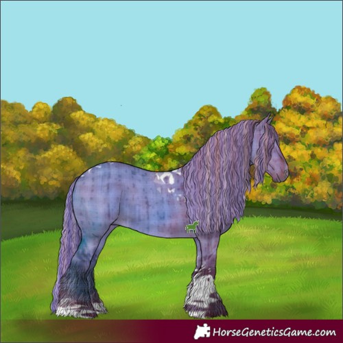 Horse Color:Painted Plaid  Liver Red Dun Tobiano Brindle 