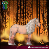 Horse Color:Watercolor Plaid  Liver Red Dun Chinchilla Tobiano 