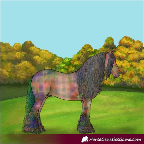Horse Color:Nacre Plaid  Liver Red Dun 