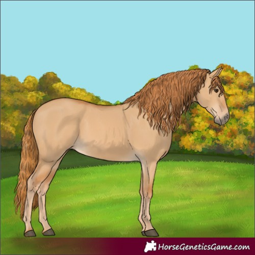 Horse Color:Red Dun