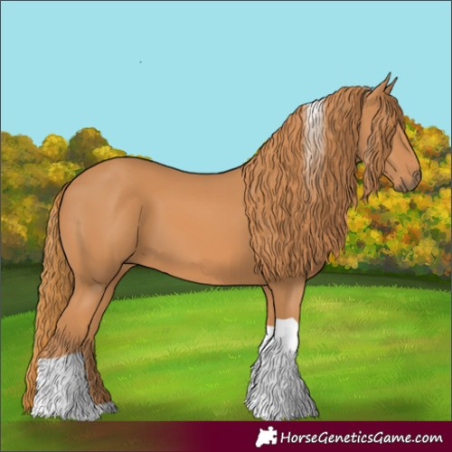 Horse Color:Chestnut Tobiano