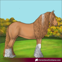 Horse Color:Chestnut Tobiano 