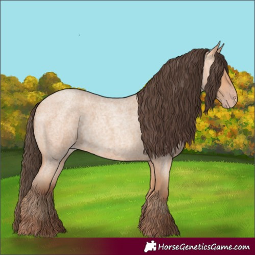 Horse Color:Amber Champagne Roan 