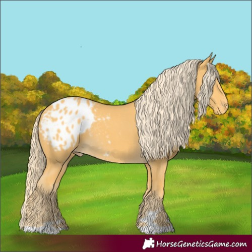 Horse Color:Palomino Blanket