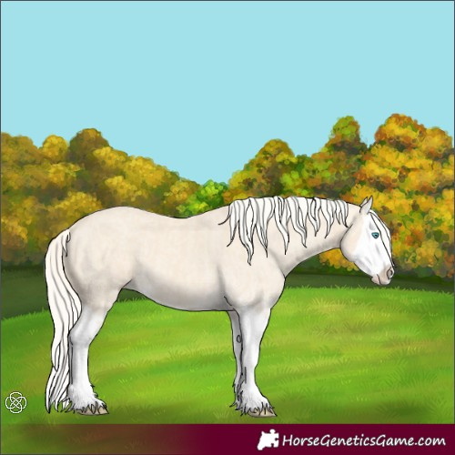Horse Color:Cremello Splash and Cremello Dun Splash