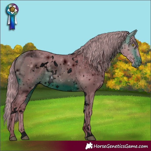 Horse Color:ERROR: UNKNOWN ANOMALY