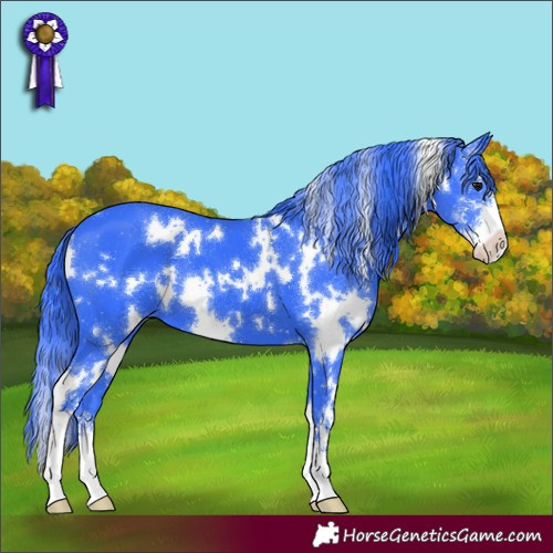 Horse Color:Watercolor White Spotted Black Sabino