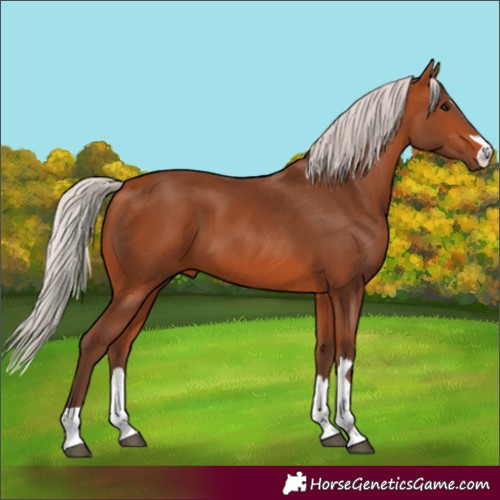 Horse Color:Silver Bay 