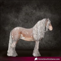 Horse Color:White Spotted Silver Brown Skewed Appaloosa 