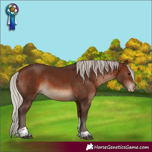 Horse Color:Silver Brown Tobiano Skewed LP Spotted