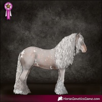 Horse Color:White Spotted Silver Brown Tobiano Skewed Appaloosa