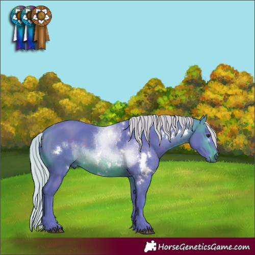 Horse Color:Watercolor White Spotted Silver Brown 
