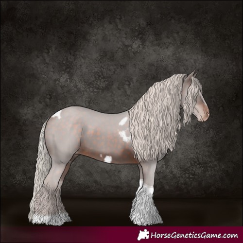 Horse Color:Silver Brown Tobiano Skewed Appaloosa