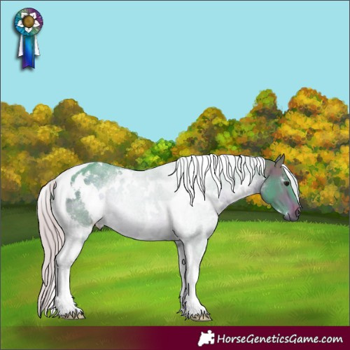 Horse Color:Watercolor White Spotted Silver Brown Tobiano 
