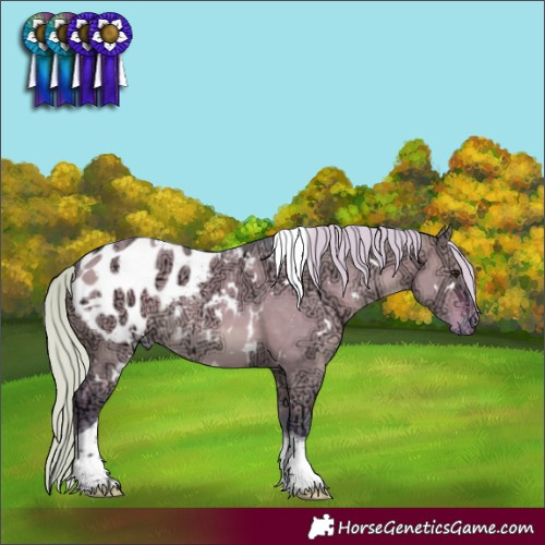 Horse Color:Watercolor White Spotted Silver Brown Ice Dun Tobiano Appaloosa