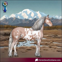 Horse Color:White Spotted Silver Brown Tobiano Skewed Appaloosa