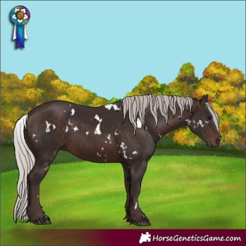 Horse Color:White Spotted Silver Brown 
