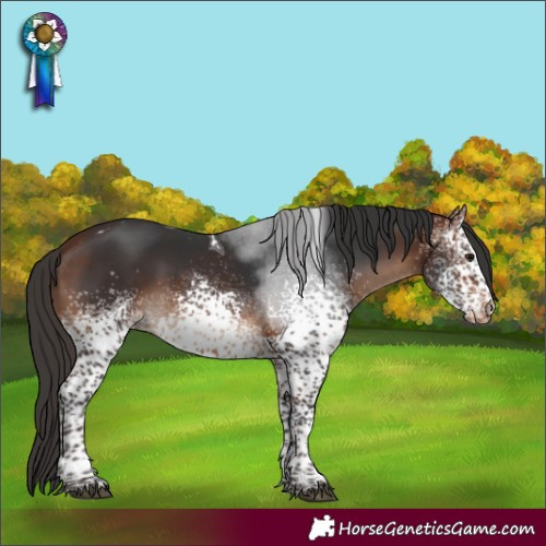 Horse Color:White Spotted Bay Tobiano Varnish 