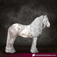 Horse Color:White Spotted Silver Brown Tobiano Skewed LP Spotted