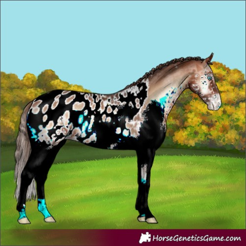Horse Color:Bay Onyx Splash Blanket 