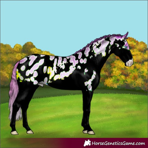 Horse Color:Watercolor Red Onyx Roan Splash Near Leopard 