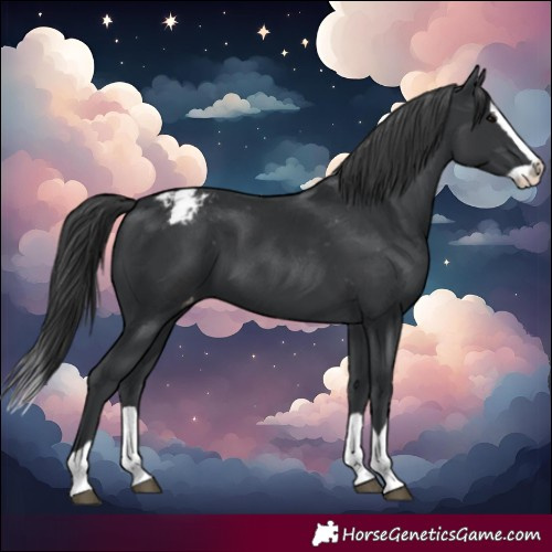 Horse Color:Black Splash Varnish