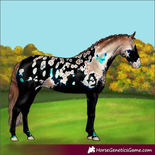 Horse Color:Powder White Red Onyx Splash Blanket 
