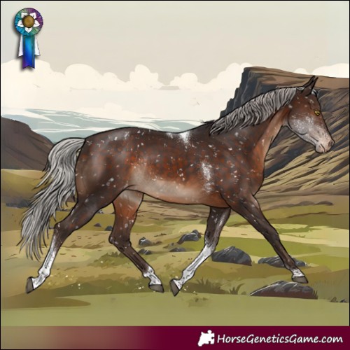 Horse Color:Silver Brown Tobiano Appaloosa Rabicano