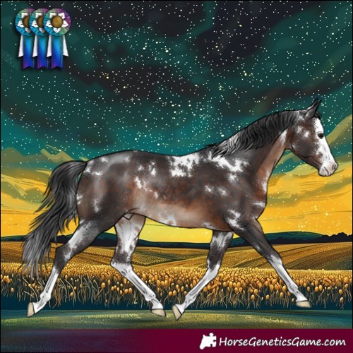 Horse Color:White Spotted Brown Splash Rabicano