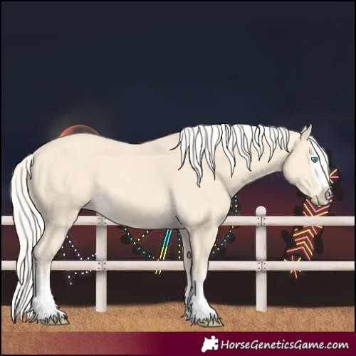 Horse Color:Cremello Splash  and Cremello Splash 