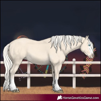 Horse Color:Cremello Splash  and Cremello Splash 