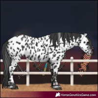 Horse Color:Black Leopard Rabicano 