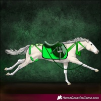 Horse Color:Cremello Splash  and Cremello Splash 