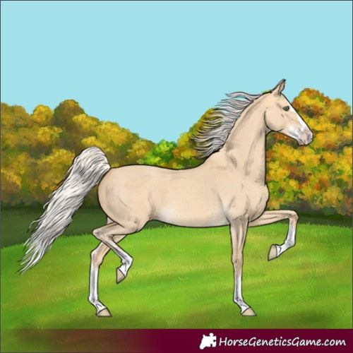 Horse Color:Silver Amber Cream Champagne Dun Sabino Splash
