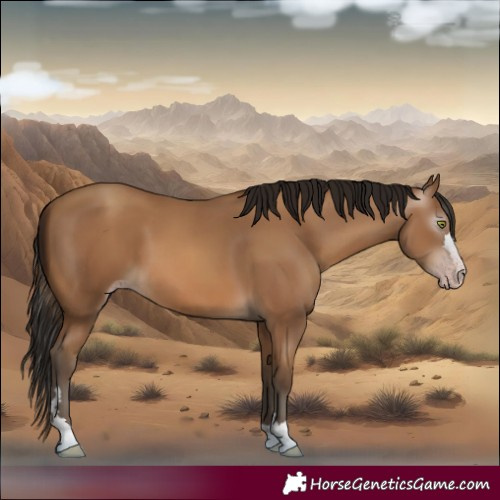 Horse Color:Gray Amber Champagne