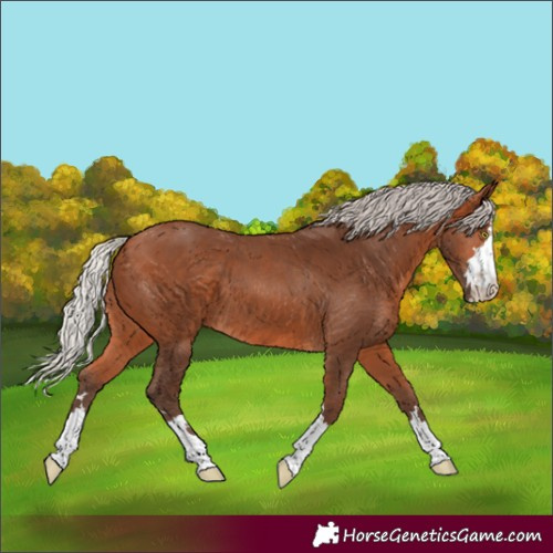 Horse Color:Silver Bay