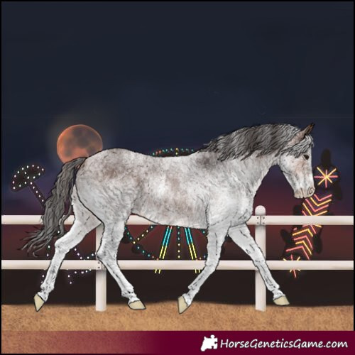 Horse Color:White Spotted Brown 