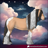Horse Color:Bay Dun Tobiano 