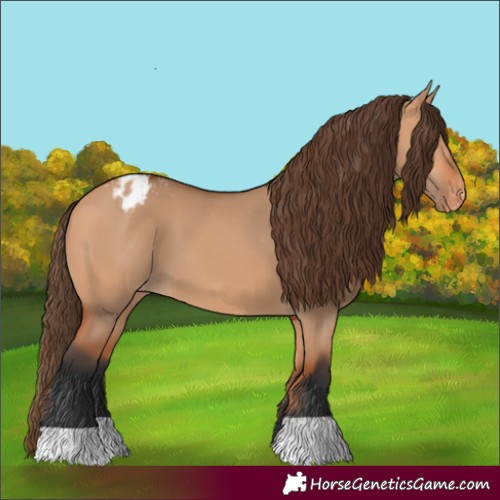 Horse Color:Bay Dun Varnish