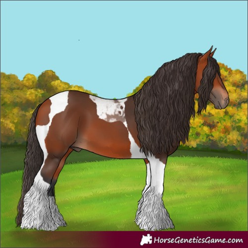 Horse Color:Bay Tobiano 