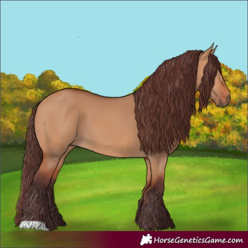 Horse Color:Chocolate Bay Dun 